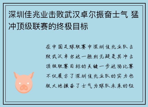 深圳佳兆业击败武汉卓尔振奋士气 猛冲顶级联赛的终极目标